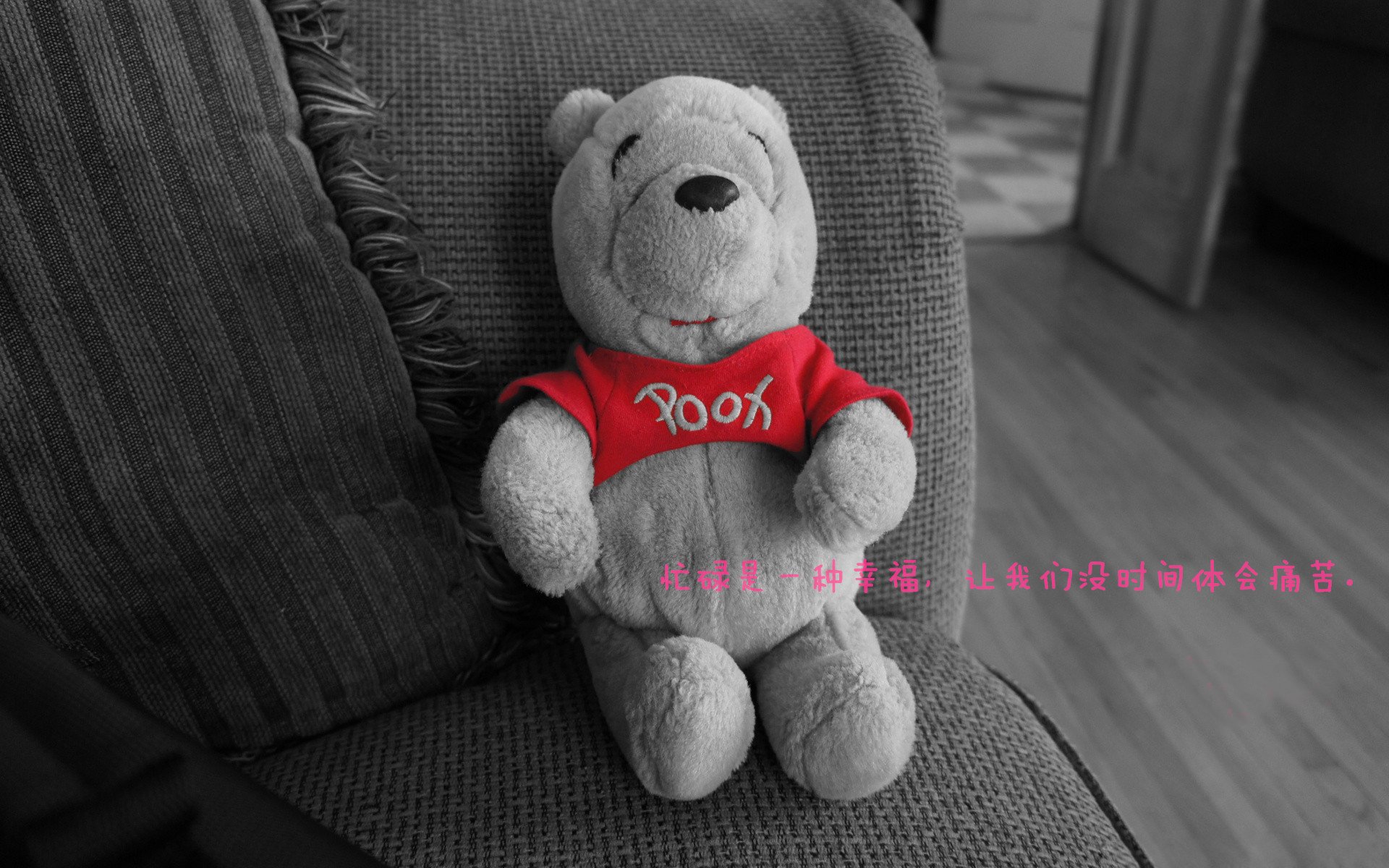 WRC挑战极限：澳大利亚沙漠拉力激烈角逐，澳大利亚西部沙漠