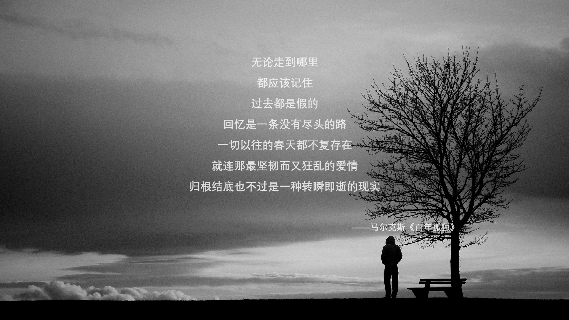 WRC新赛季:车队革新技术引领风潮,wrc参赛车队